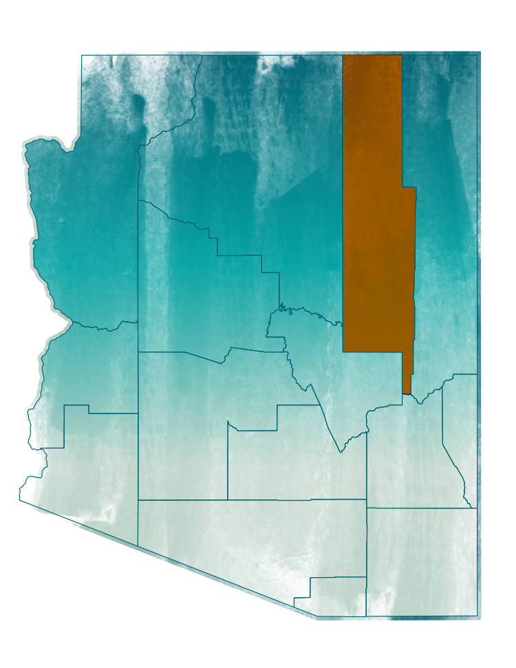 Image of Navajo County